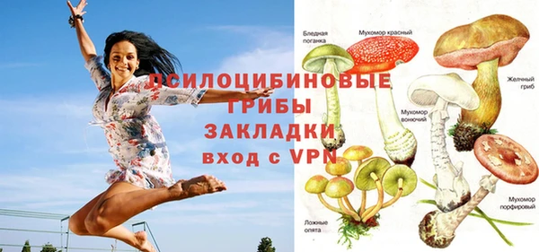 дмт Абдулино