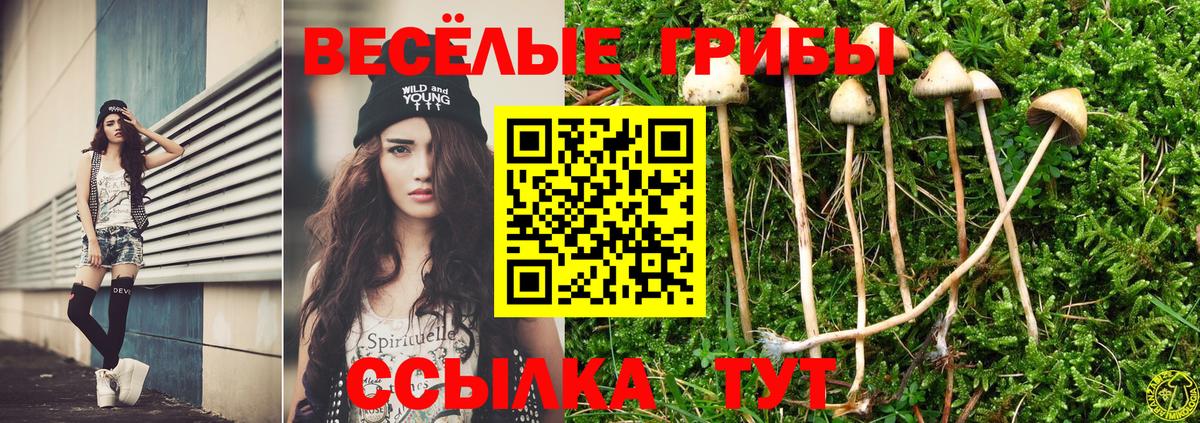 Псилоцибиновые грибы Psilocybe  Галлюциногенные грибы мицелий  даркнет сайт  Вход с VPN  Прокопьевск 