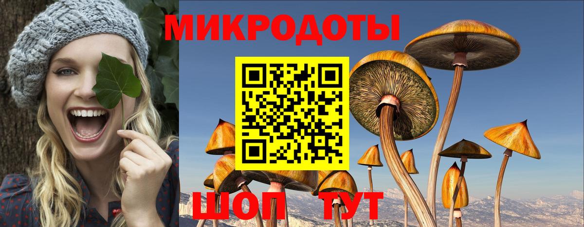 Псилоцибиновые грибы Cubensis Прокопьевск