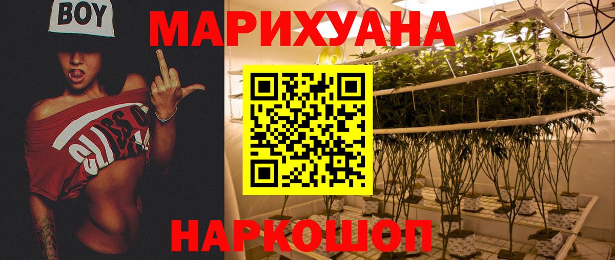 Шишки марихуана THC 21%  Каннабис план  Шишки марихуана сатива  Вход с VPN  Прокопьевск  Марихуана VHQ 